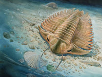 465-million-year-old trilobite found with Gut Contents Preserved.