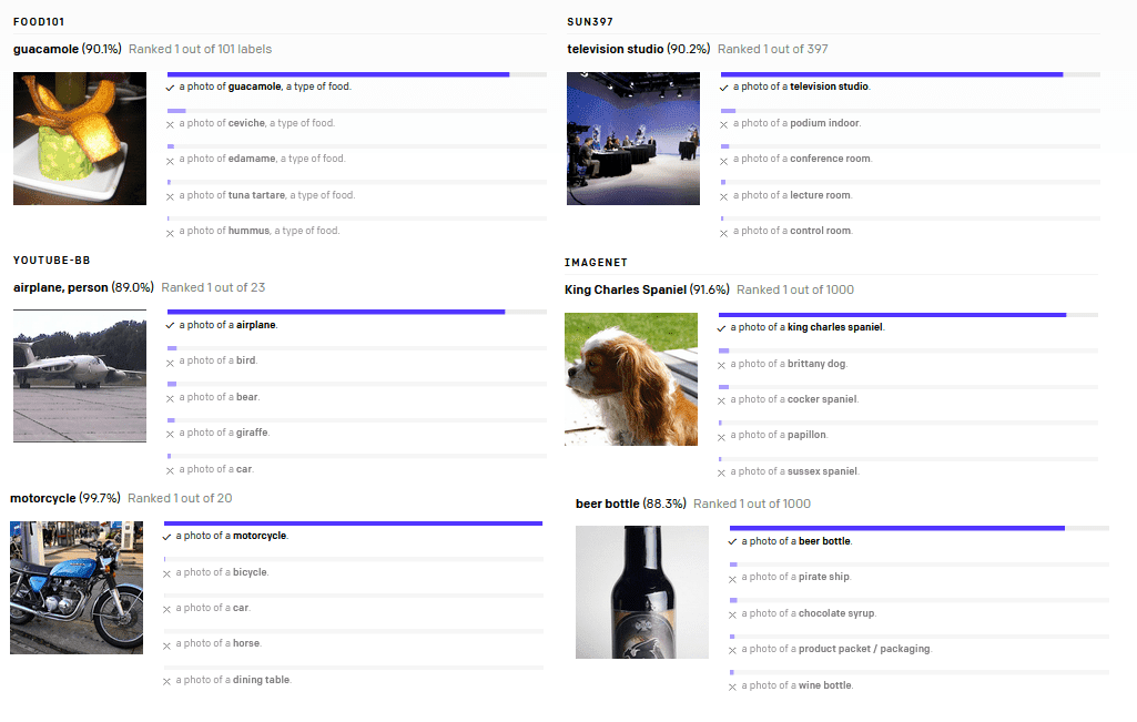 CLIP Open AI results Classification