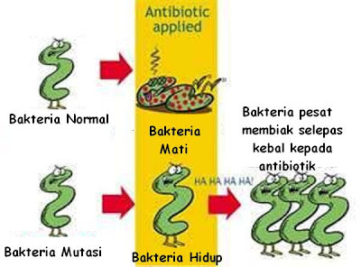 vitamin tingkatkan sistem imun