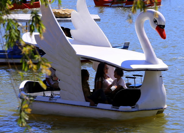 Paddle boat in Burnham park