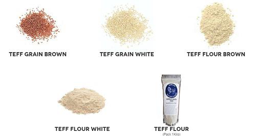 http://www.teffcom.com/#/what-is-teff
