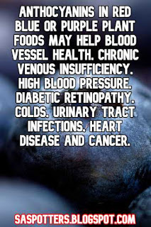 Anthocyanins in red blue or purple plant foods may help blood vessel health, chronic venous insufficiency, high blood pressure, diabetic retinopathy, colds, urinary tract infections, heart disease and cancer.