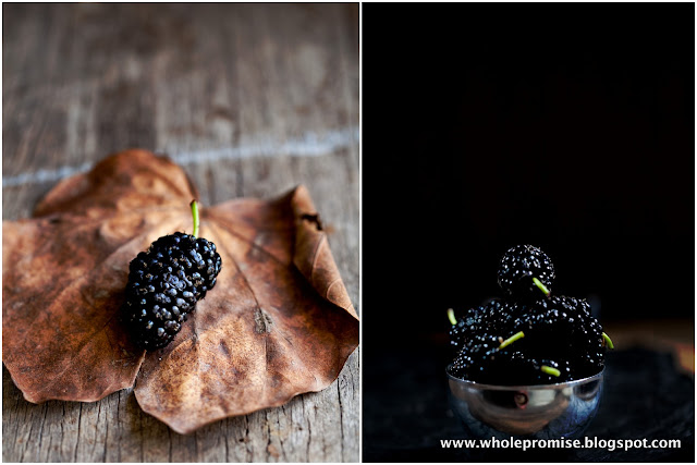 Food Photography Sunshine Coast