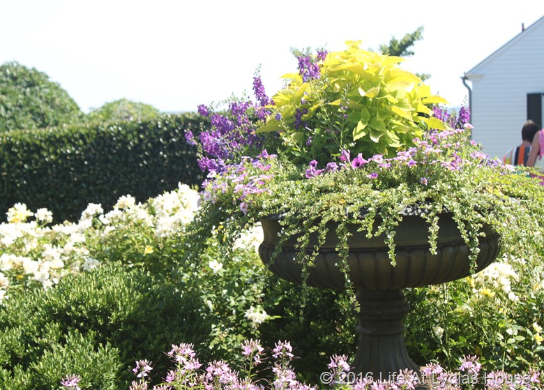 driveway border garden planter