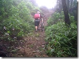 IMG01901-20110111-0945