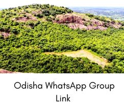 Odisha WhatsApp Group Link