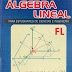 Álgebra Lineal - Eduardo Espinoza Ramos