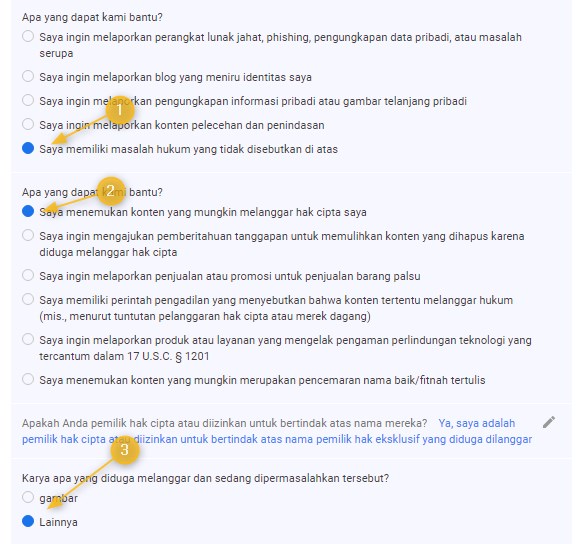 Cara Melaporkan Blog Copas Ke Google DMCA