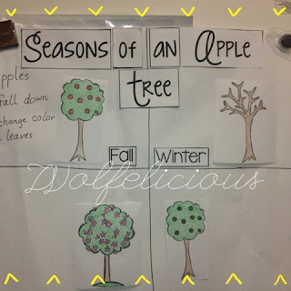 Photo of Season Anchor Chart Wolfelicious