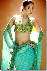 pakistani Hot Models   Desi babes   INdian Girls   Paki Babes  Paki Actresses   Indian Actresses (228)