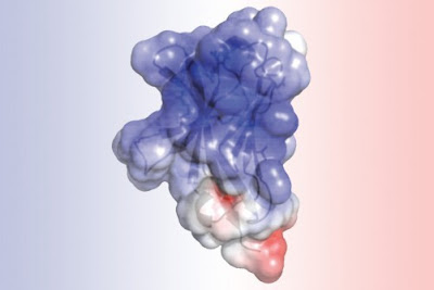 Molecule structure responsible for alzheimer's