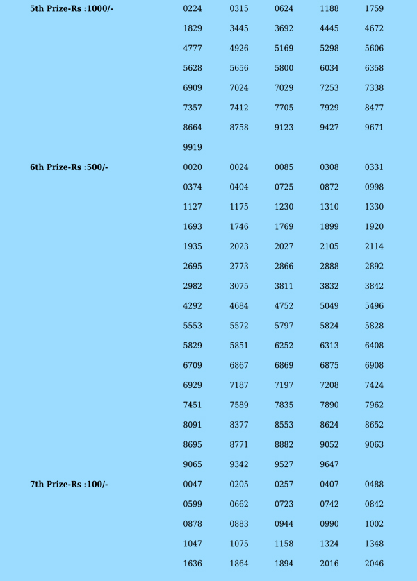 Nirmal NR308 Page 2