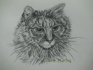 pet sketch of a cat
