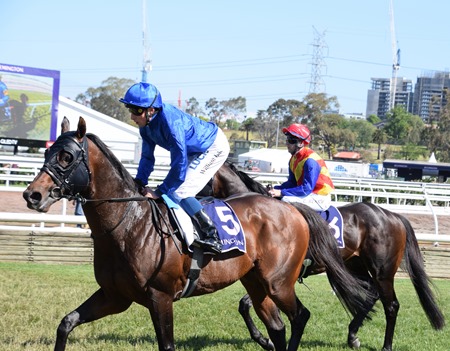 vrc sprint_jungle cat 2