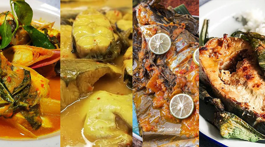 8 Aneka Resepi Ikan Patin Yang Anda Boleh Cuba Termasuk 