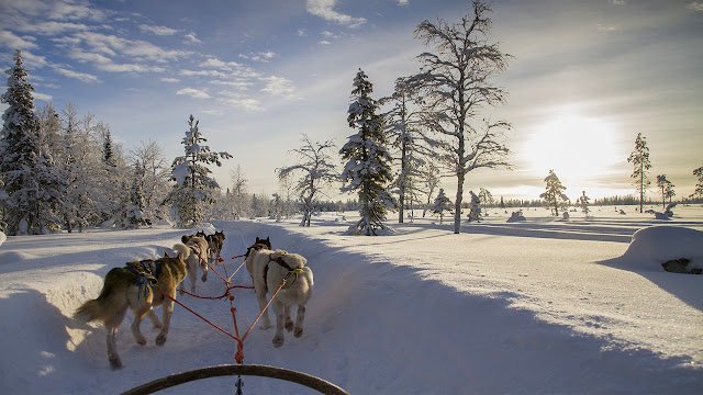 Finland, Lapland VII best places to visit in December