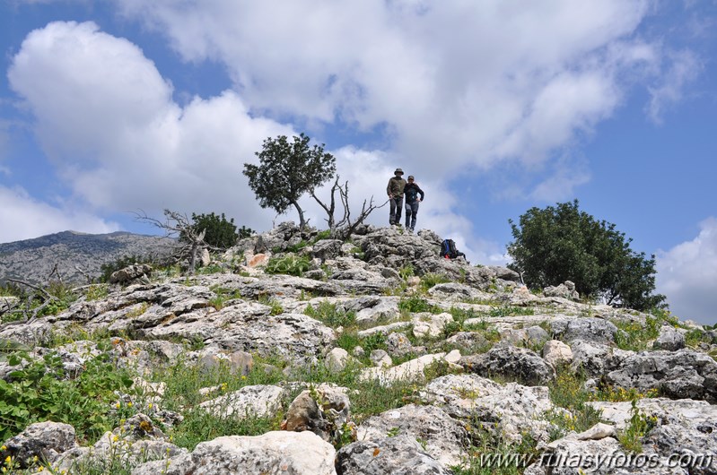 Llanos del Campo - Tesorillo - Cerro del Granadillo - Cerro de las Cuevas - Llanos del Berral