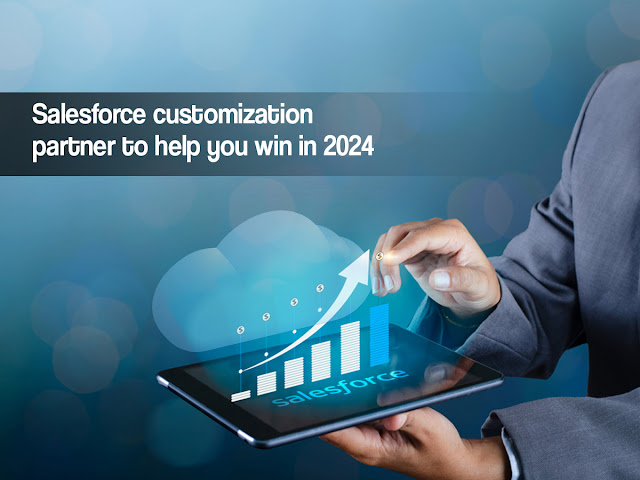 Salesforce customization partner to help you win in 2024