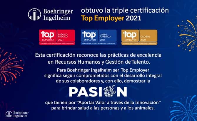 éxito, reconocimiento, empleos,