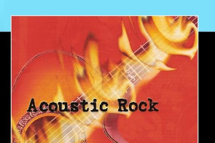 News!! The Ventures - Acoustic Rock