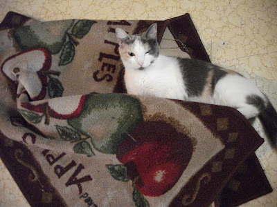 Gabby reshaping a kitchen rug