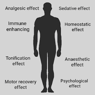 Ability of Acupuncture described