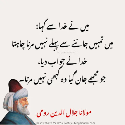 Rumi Quotes in Urdu