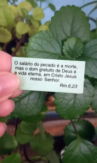 Porque o salário do pecado é a morte, mas o dom gratuito de Deus é a vida eterna, por Cristo Jesus nosso Senhor.