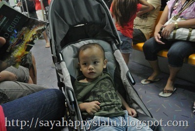 DSC_0740_thumb