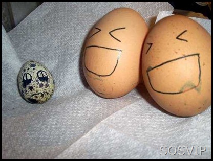 Ovos desenhados (36)