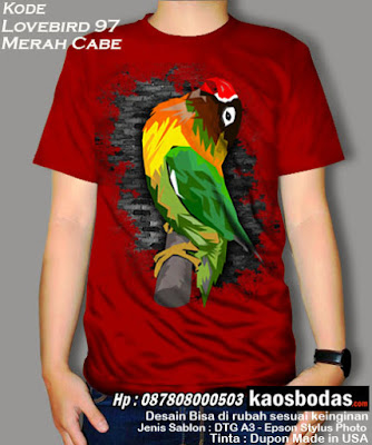 Supplier kaos burung kicau mania, Lovebird, Murai, Kenari, Pleci, Cucak Ijo, Kacer, Untuk Team dan pribadi. Desain Keren, Lucu, Unik, 3D, BERGARANSI