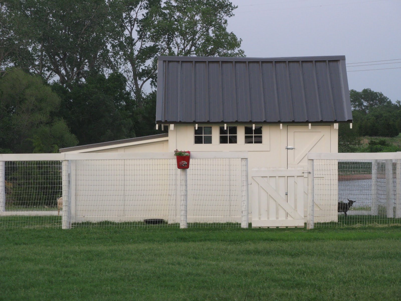 Life in a Little Red Farmhouse: Goat shed done