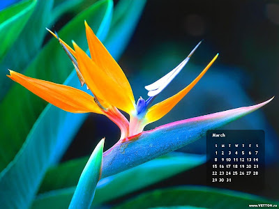  Iphone Background on 12 Hot Desktop Calendar Backgrounds For March 2009   Buy Iphone In Usa