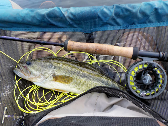 Ralph's Fly Box: St Croix MOJO BASS 7wt Flyrod 1-year Review