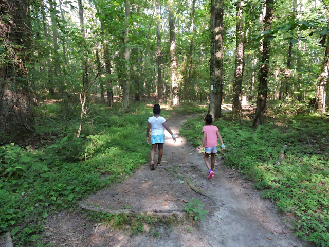 My Top 15 Summer Bucket List- Stone Mountain Trail  via www.productreviewmom.com