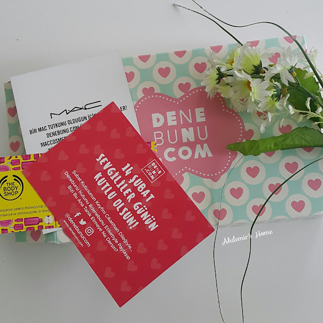 Denebunu.com Şubat Kutusu Akdemir's Home