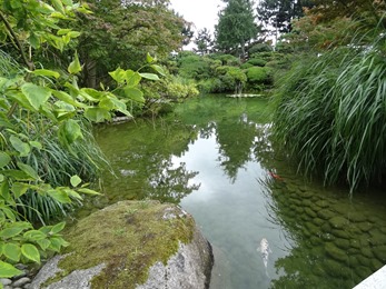 2017.07.12-003