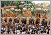 TPM_106_trichur_pooram_kerala_DSC_00