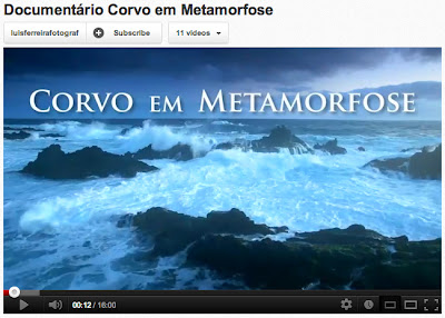 Corvo em Metamorose