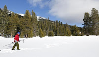 Frank Gehrke walks to one of the survey points during the first snow survey of winter conducted by the California Department of Water Resources in Phillips, California, December 30, 2015. (Credit: Reuters/Fred Greaves) Click to Enlarge.