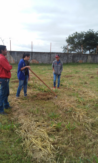 Projeto Revitalização da Escola Orlando.