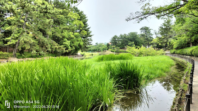 緑ヶ丘公園