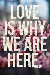 Love is why we are here.....
