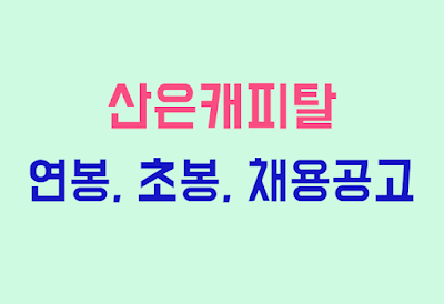 산은캐피탈 연봉