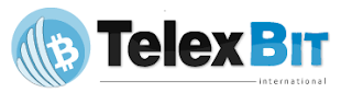  Telexbit