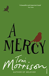 A Mercy (English Edition)