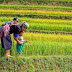 Vietnam Typical Tours Guide to Family Vacations Made Easy At Vietnam