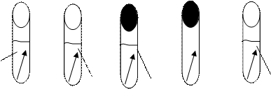 clip_image036