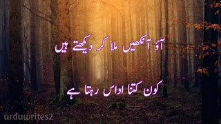 Sad Poetry in urdu