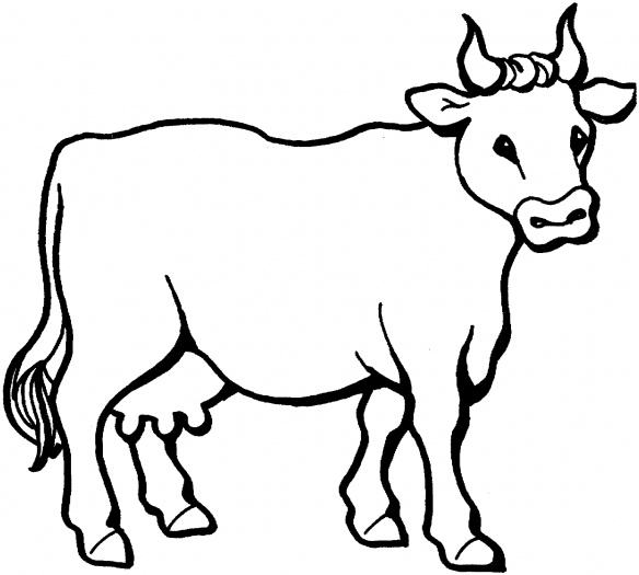Farm Animal Cattle Cow Coloring Sheet